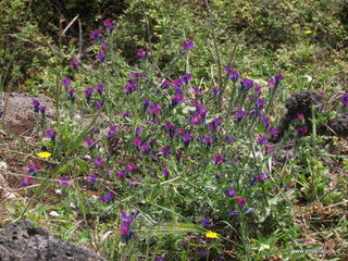 zzena-07-04-2013 08-25-17
